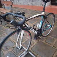 Wlier triestina izoard xp