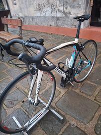 Wlier triestina izoard xp