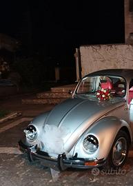 VOLKSWAGEN  MAGGIOLINO 1981