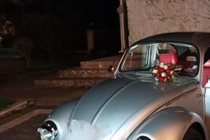 VOLKSWAGEN  MAGGIOLINO 1981