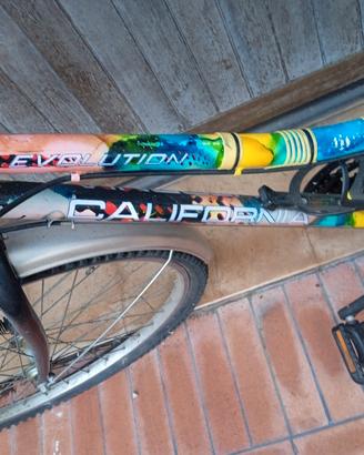 bicicletta 