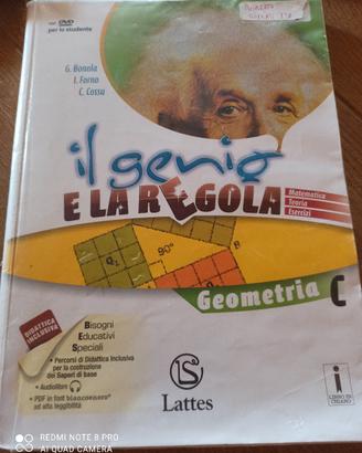 il genio e la regola geometria c