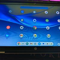 HP chromebook 