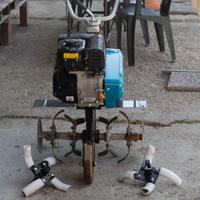 MOTOZAPPA BERTOLINI 195 S