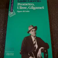 libro prima ed. Giulio Giorello Pro.eteo,Ulisse,Gi
