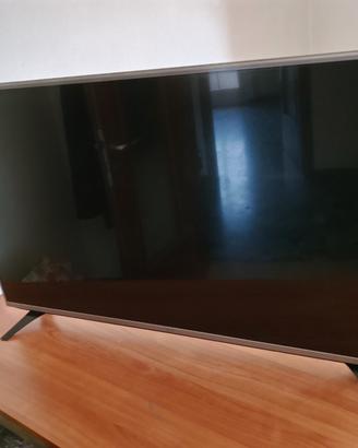 TV LG 49 POLLICI 