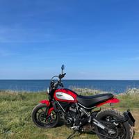 Ducati Scrambler 800 Icon Red