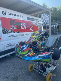 go kart kz 125 dfm tm kz10