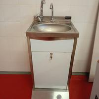 LAVANDINO PROFESSIONALE