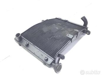 RADIATORE ACQUA LIQUIDO RAFFREDDAMENTO MOTORE BENE