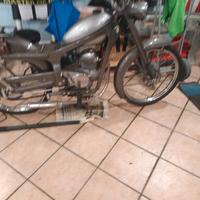 Aerocaproni capriolo 75