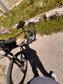 Vendesib bici normale di marzano