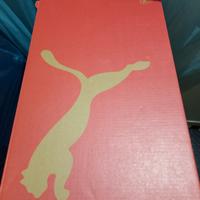 scarpa sportiva 
