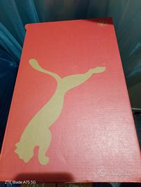 scarpa sportiva 