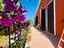 Immagine 27