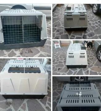 Kennel , trasportino per taglia grande o 2 cani