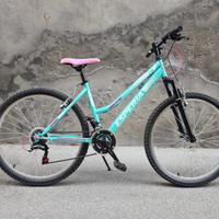 Bicicletta Mountain bike