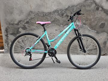 Bicicletta Mountain bike