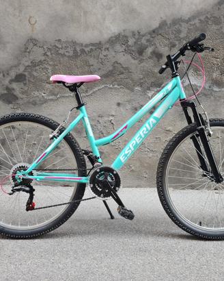 Bicicletta Mountain bike