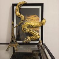 serpente decorativo 