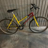 Mountain bike