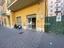 Immagine 18