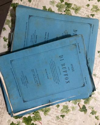 Riviste con litografie originali del poeta buffon