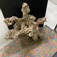 Atolli per avquario marino