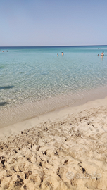 Monolocale San Pietro in Bevagna centro