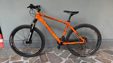 bicicletta mountain bike