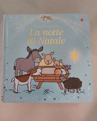 libro cartonato 