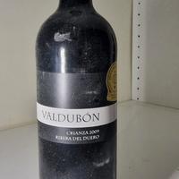 Bottiglia Valdubon Ribera del Duero 2009