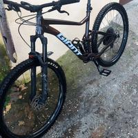 Bici MTB