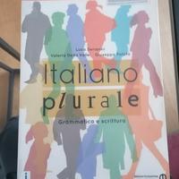 Italiano plurale