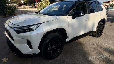 Toyota Rav4 dicembre 2025