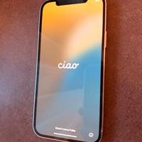 Iphone 12 pro