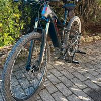 Bici a pedalata assistita Olympia