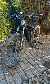 Bici a pedalata assistita Olympia