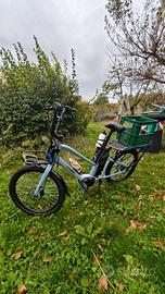 Bici Cargo bike elettrica Beraud.