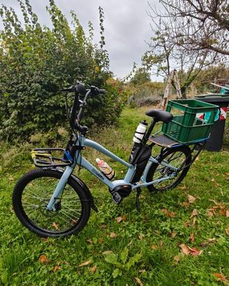 Bici Cargo bike elettrica Beraud.