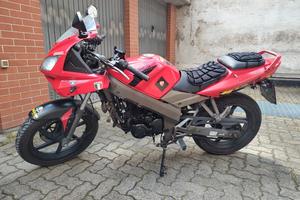 Kymco Quanton 2009