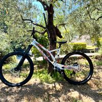 ANCILLOTTI FRY 2018 27.5