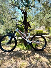 ANCILLOTTI FRY 2018 27.5