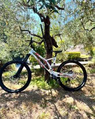 ANCILLOTTI FRY 2018 27.5