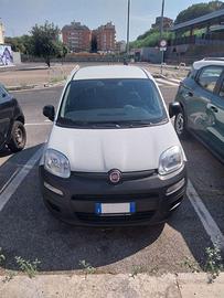 PANDA VAN