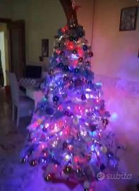 Albero