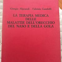 La terapia medica delle malattie dell'orecchio