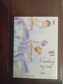 Vanishing My First Love