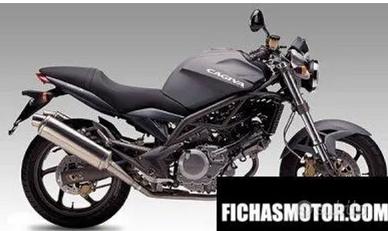 TELAIO TARGATO CAGIVA RAPTOR 650 2001 2002 2003