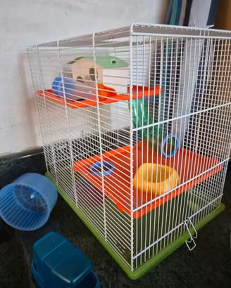 Gabbia per criceto con accessori – 45x30x47 cm